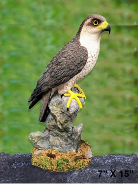 15" Falcon 15" Falcon